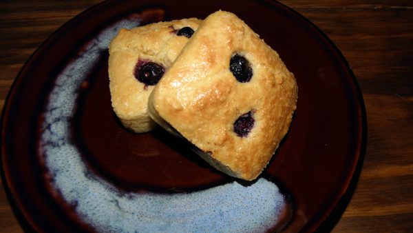 Gluten Free Blueberry Muffins