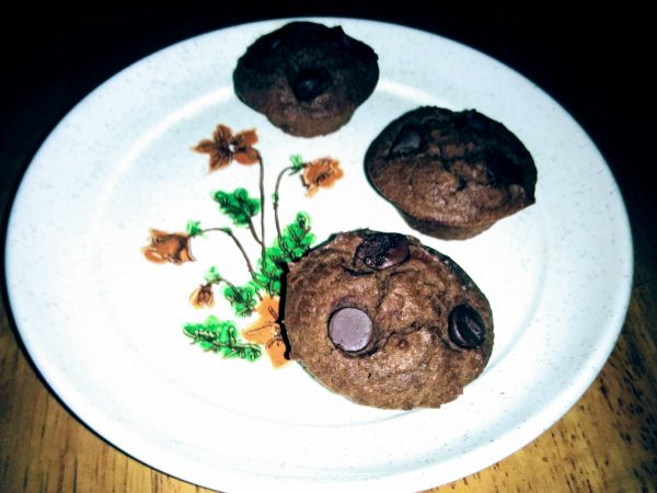 Low Carb Chocolate Chocolate Chip Muffins